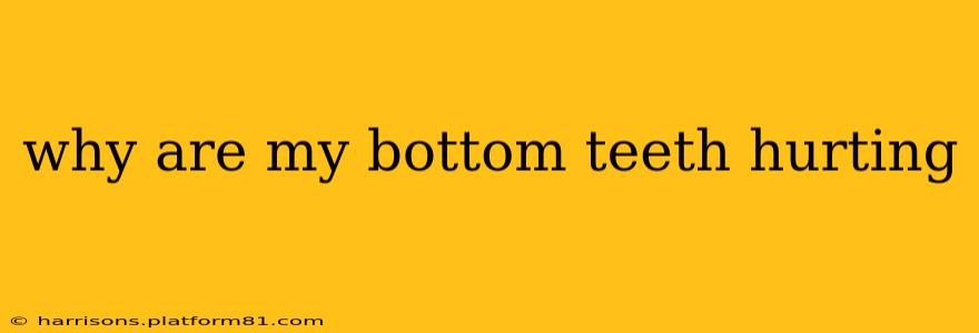 why are my bottom teeth hurting