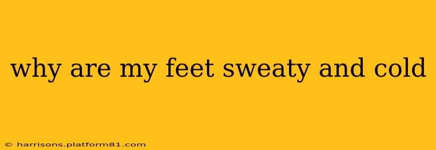 why are my feet sweaty and cold