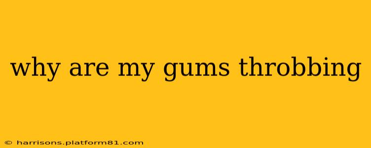 why are my gums throbbing