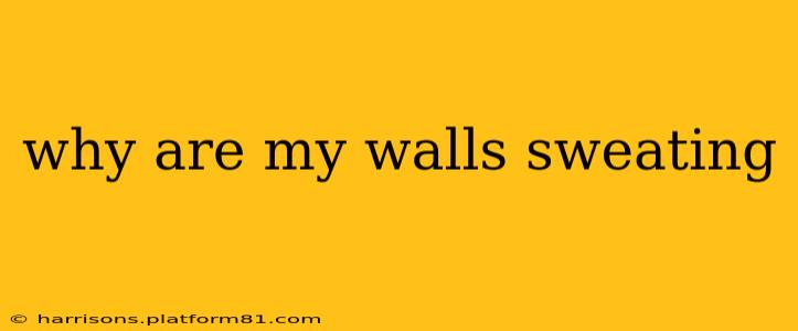 why are my walls sweating