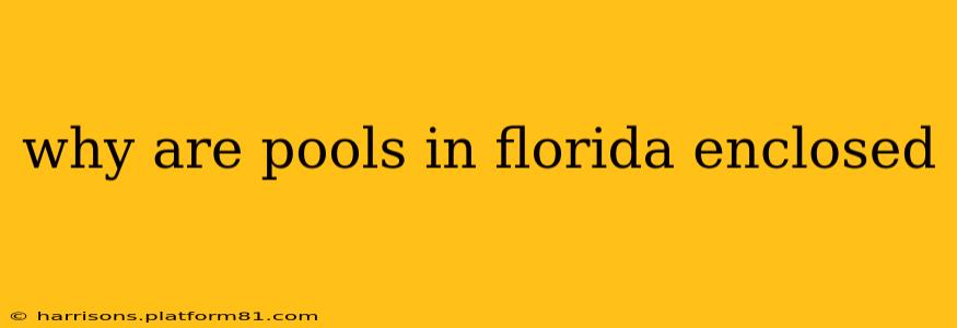why are pools in florida enclosed