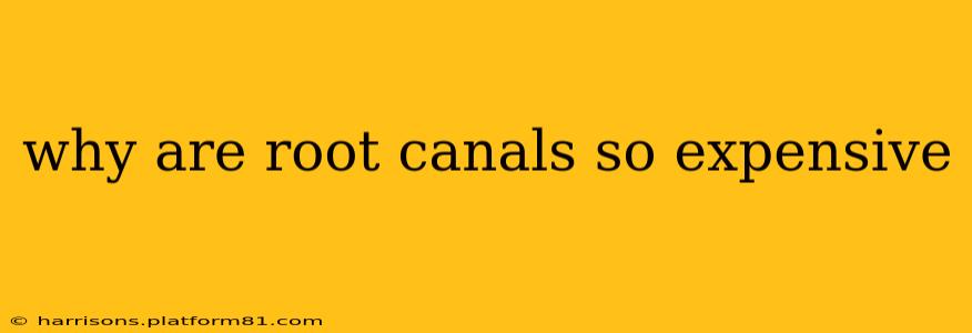 why are root canals so expensive