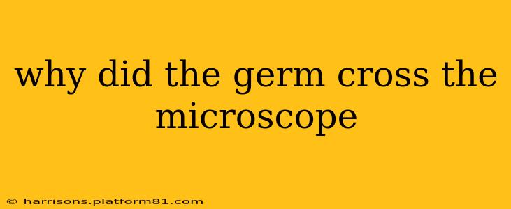 why did the germ cross the microscope