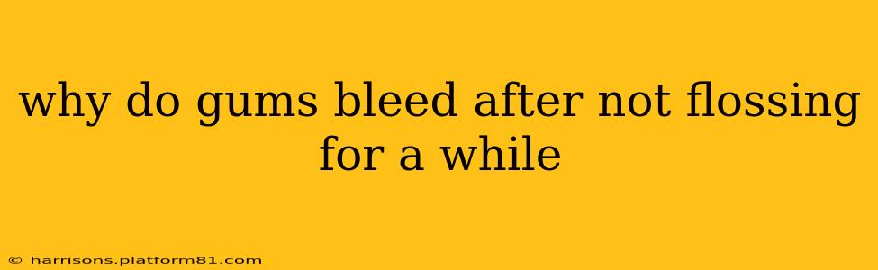 why do gums bleed after not flossing for a while