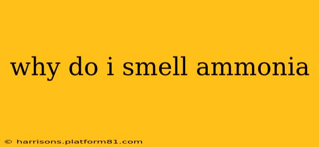 why do i smell ammonia