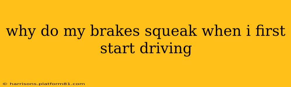 why do my brakes squeak when i first start driving