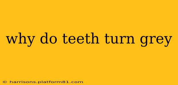 why do teeth turn grey