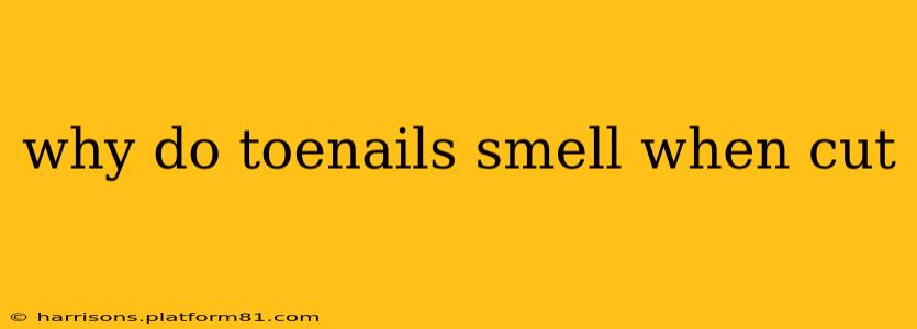 why do toenails smell when cut