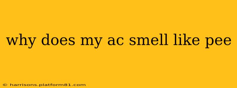 why does my ac smell like pee