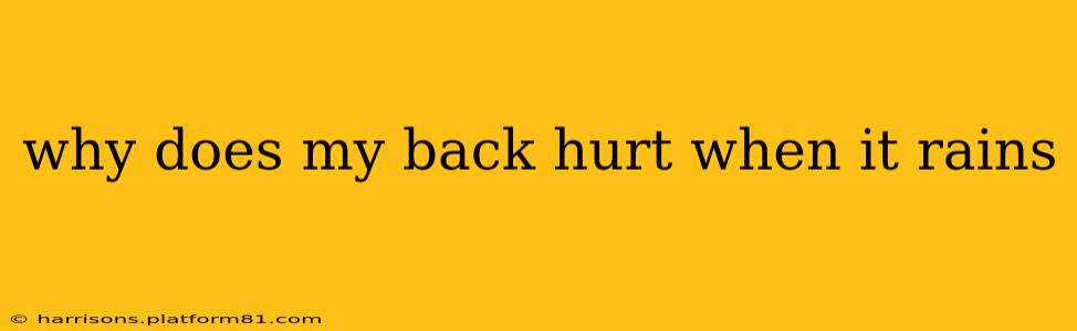 why does my back hurt when it rains