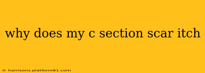 why does my c section scar itch