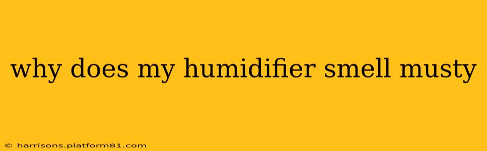 why does my humidifier smell musty