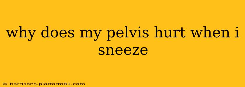 why does my pelvis hurt when i sneeze