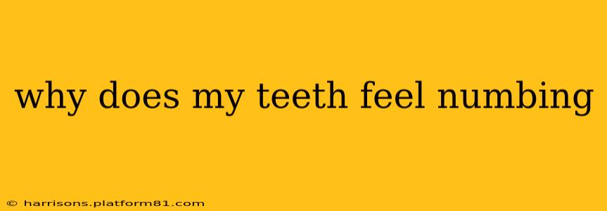 why does my teeth feel numbing