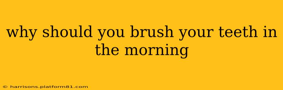 why should you brush your teeth in the morning