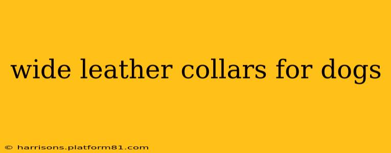 wide leather collars for dogs
