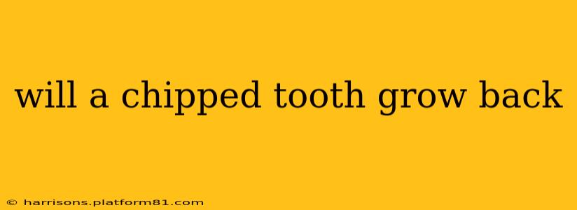 will a chipped tooth grow back