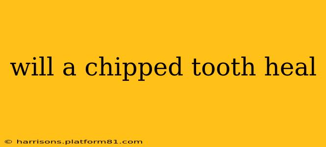 will a chipped tooth heal