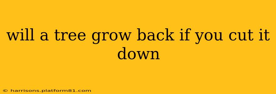 will a tree grow back if you cut it down