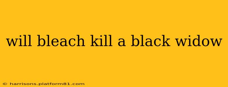 will bleach kill a black widow