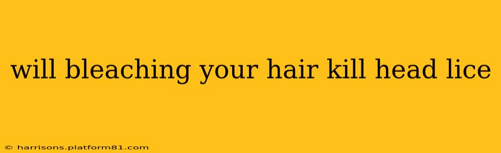 will bleaching your hair kill head lice