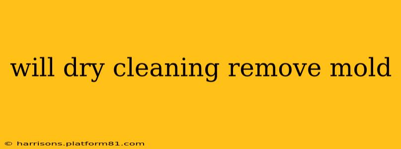 will dry cleaning remove mold