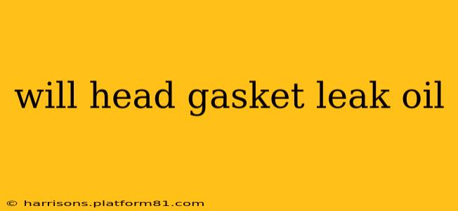 will head gasket leak oil