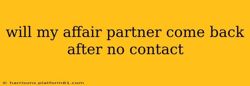 will my affair partner come back after no contact