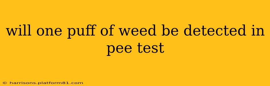 will one puff of weed be detected in pee test