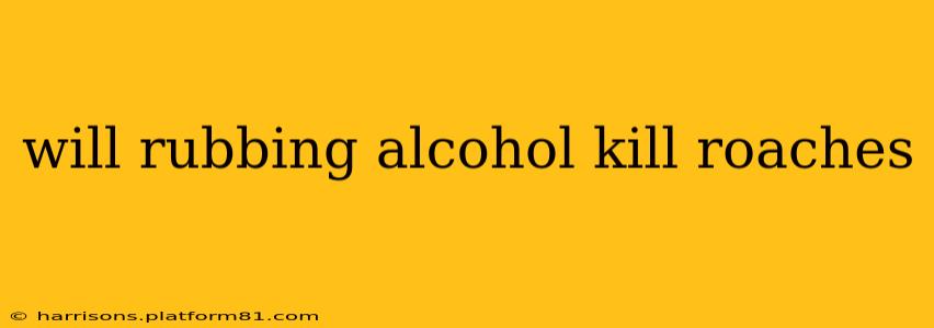 will rubbing alcohol kill roaches
