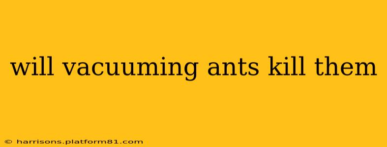 will vacuuming ants kill them