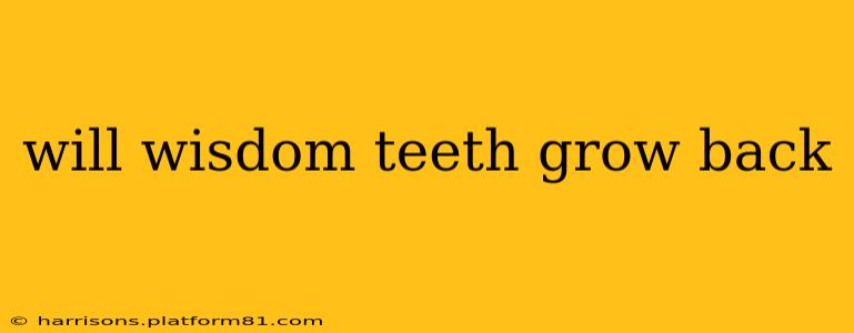 will wisdom teeth grow back