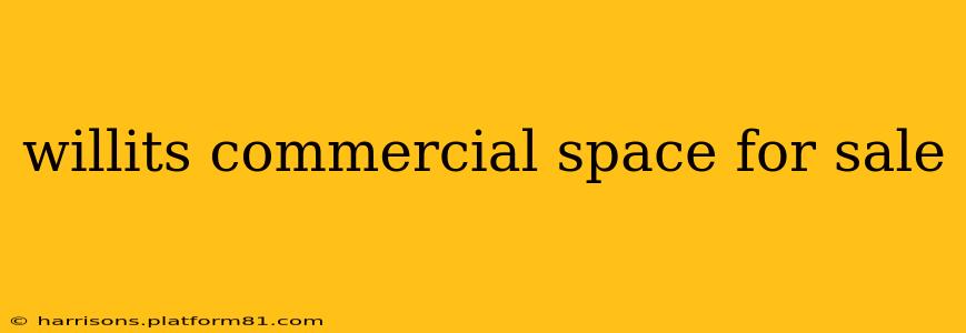 willits commercial space for sale