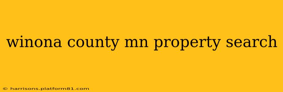 winona county mn property search