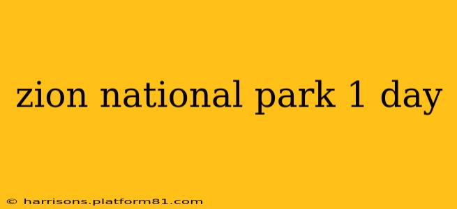 zion national park 1 day